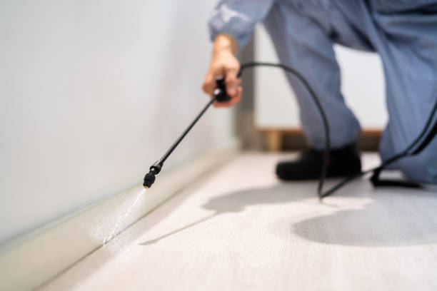 Certified termite inspector examining foundation in Alton